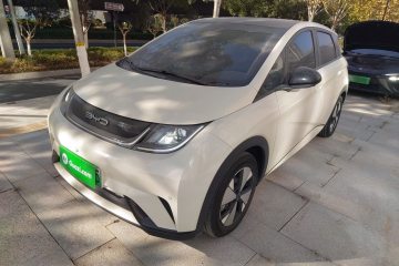 Used BYD Dolphin 2023 420 km Free Version