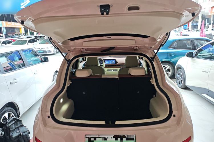 Used ORA Good Cat 2023 401 km Standard Range Luxury Version Lithium Iron Phosphate