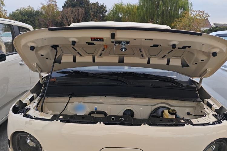 Used  Panda 2025 210 km – Yuanqi Bear