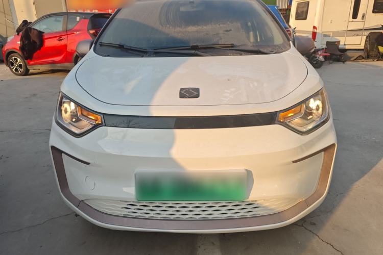 Used SOL E10X 2022 Flower Fairy Design Four-Leaf Clover