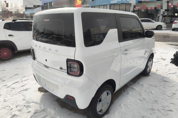 Used  Panda 2024 Panda Mini 200km Endurance Bear