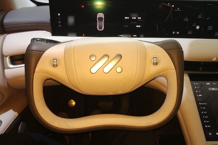 Used IM LS6 2023 Max Standard Edition
