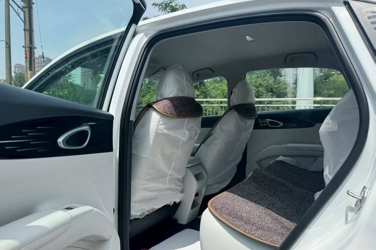 Used  Geome 2025 310km Dream Edition
