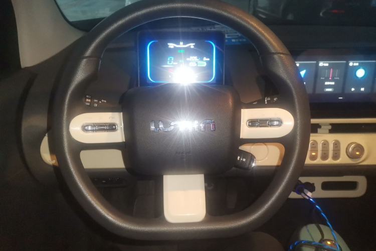 Used Qiyuan Lumin 2025 205km Refreshing Edition
