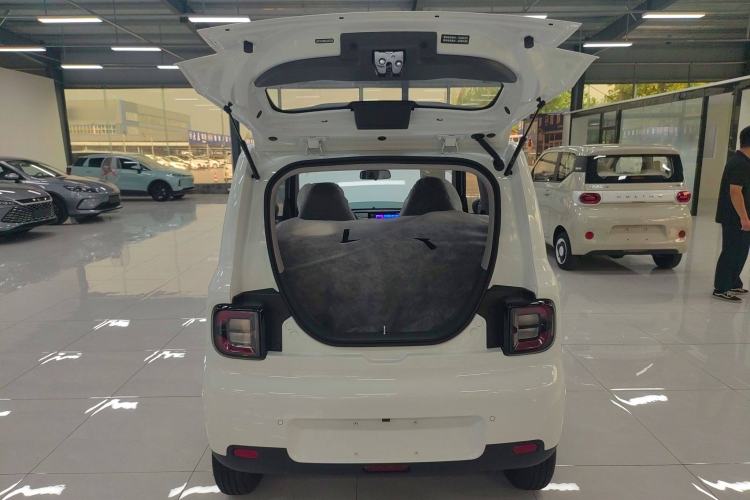 Used  Panda 2025 210 km – Yuanqi Bear
