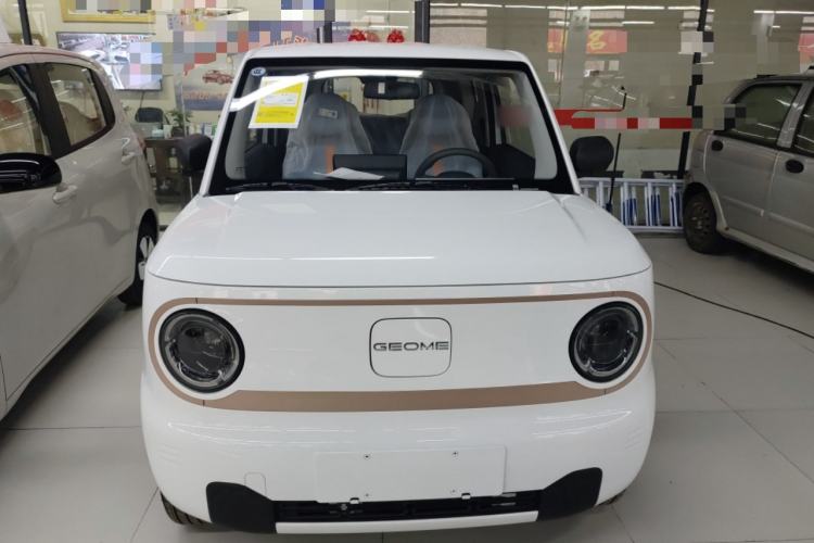 Used  Panda 2024 Panda Mini 200km Longteng PRO Edition

