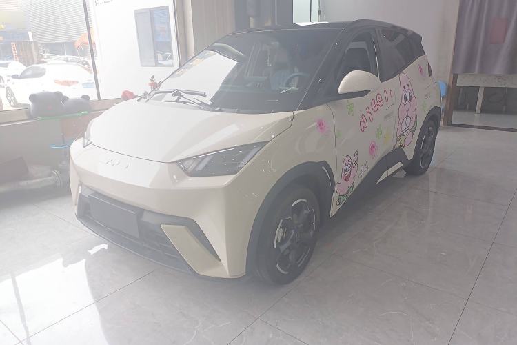 Used BYD Seagull 2023 Free Edition
