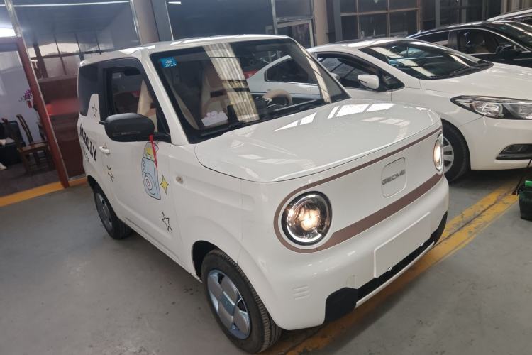Used  Panda 2023 Panda Mini 200km Endurance Bear
