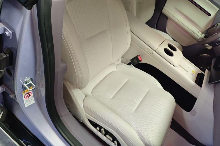 Used  06 2025 Pro Range-Extended Edition
