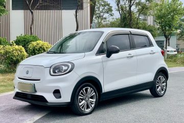 Used Leapmotor T03 2021 400 Lite Edition - Lithium-Ion Battery