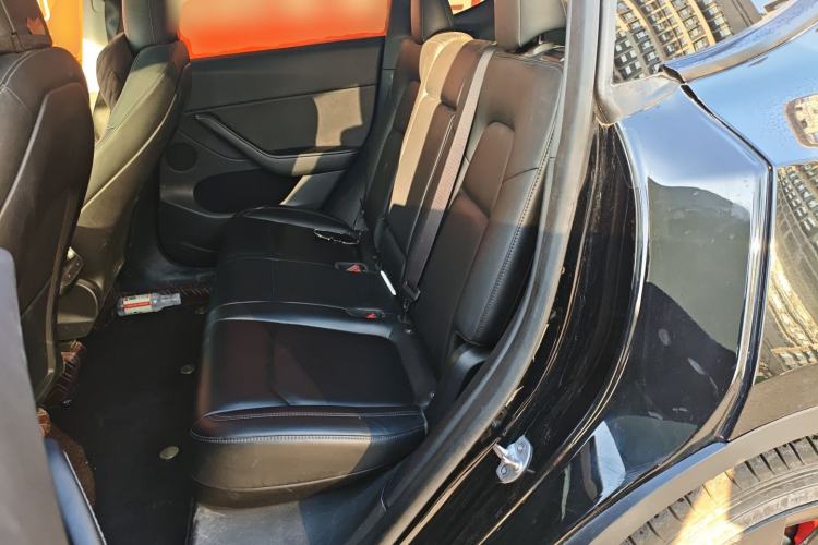 Used Tesla Model Y 2021 Standard Range Rear-Wheel Drive Version
