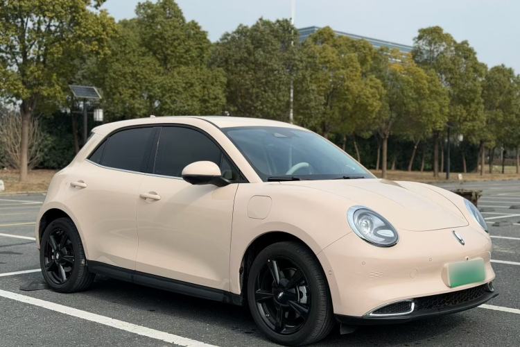 Used ORA Good Cat 2024 401 km Luxury Version 126 kW