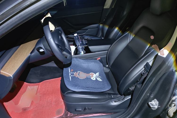 Used Tesla Model 3 2019 Standard Range Rear-Drive Upgraded Version