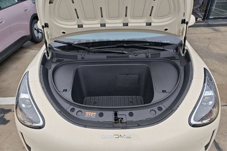 Used  Geome 2025 310km Youth Edition
