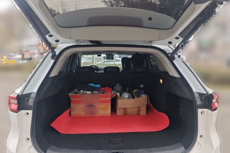 Used  TX 2021 Classic Edition 1.6T Four-Wheel Drive Star Enjoy Version