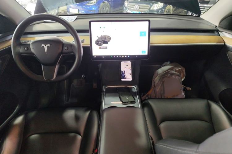 Used Tesla Model Y 2021 Standard Range Rear-Wheel Drive Version
