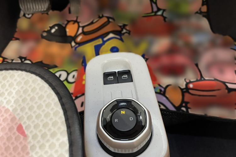 Used  Panda 2023 Panda Mini 200km Endurance Bear
