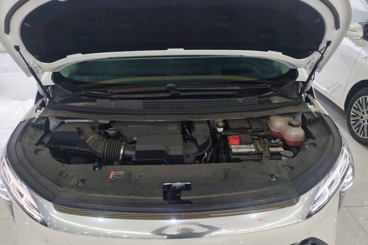 Used Buick Century 2023 2.0T Four-Seat Private Edition
