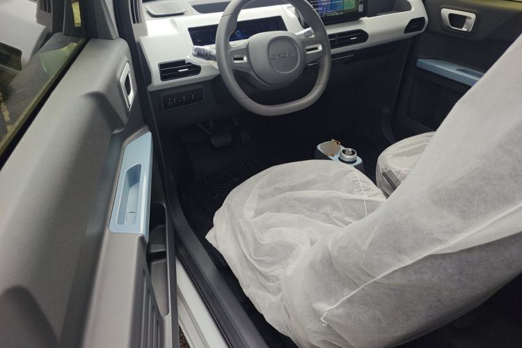 Used  Panda 2024 Panda Mini 200km Endurance Bear
