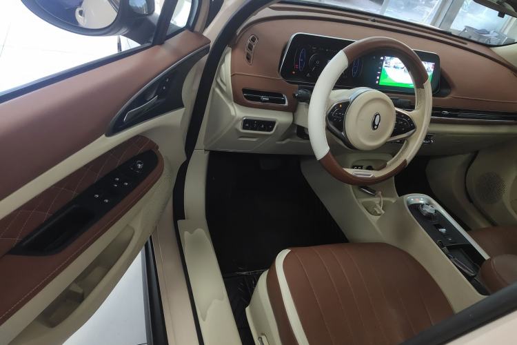 Used ORA Good Cat 2022 Morandi Edition 400km Standard Range Luxury Version Lithium Iron Phosphate