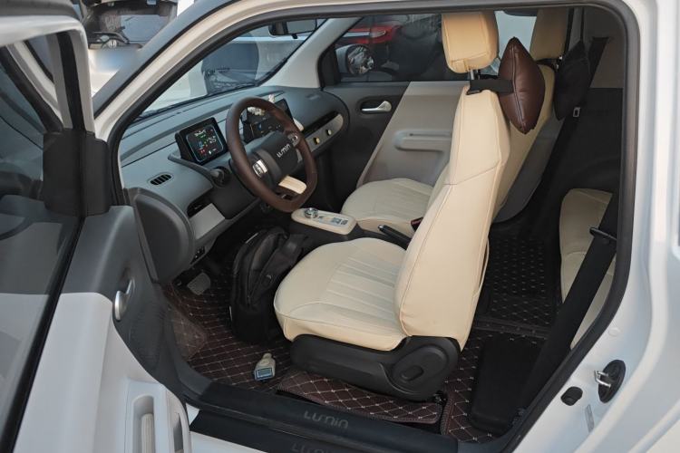 Used  Lumin 2023 301km Honey Dew Edition