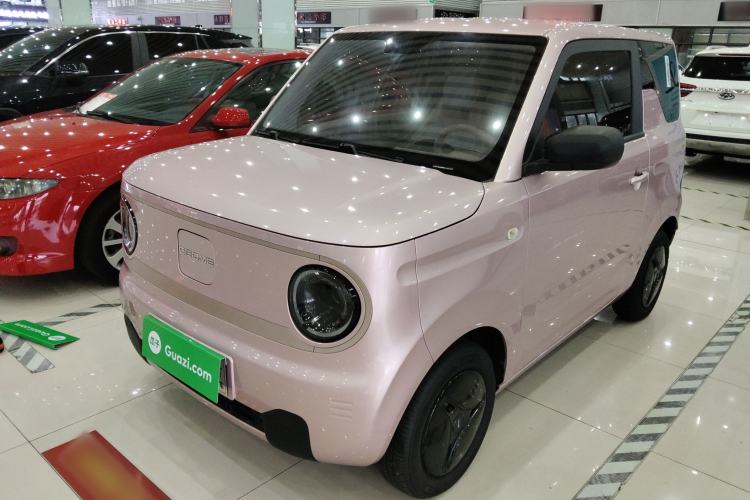 Used  Panda 2023 Panda Mini 200km Endurance Bear
