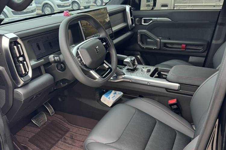 Used  Shanhai T2 2024 C-DM 208KM Mountain & Wilderness Edition
