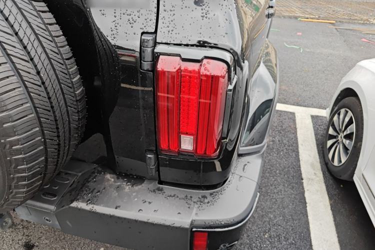 Used Tank 300 2024 2.0T Crosser
