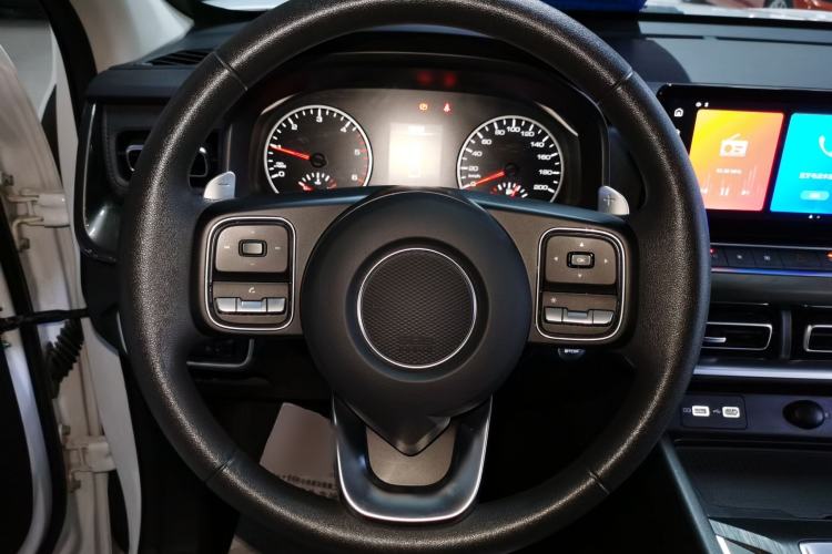 Used Great Wall Poer 2023 2.0T Commercial Version Automatic Diesel Two-Wheel Drive Elite Trim with Long Bed – GW4D20M
