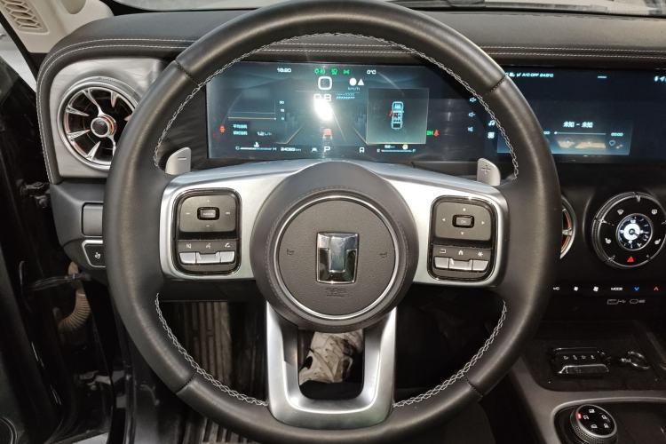 Used Tank 300 2024 2.0T Conqueror
