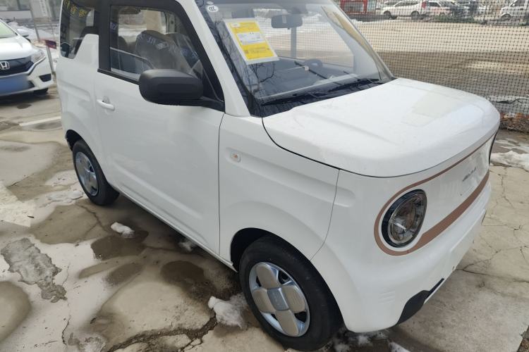 Used  Panda 2024 Panda Mini 200km Endurance Bear

