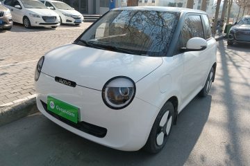 Used Qiyuan Lumin 2022 210km Sweet Edition