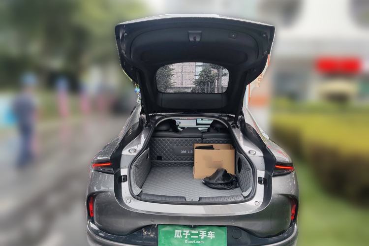 Used  L6 2024 Max Long-Range Version
