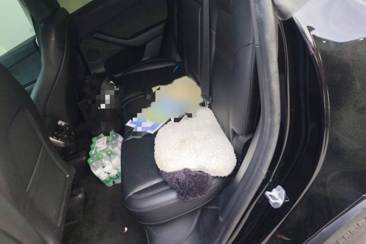 Used Tesla Model Y 2022 Revised Version Long-Range All-Wheel Drive