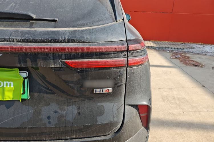 Used Wey Mocha New Energy 2024 Hi4 Four-Wheel Drive Long-Range Version