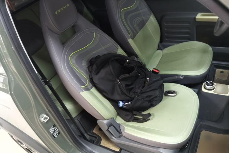 Used  Panda 2024 200km Panda Rider