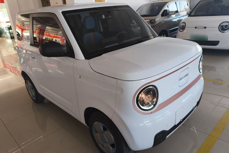 Used  Panda 2024 Panda Mini 200km Endurance Bear
