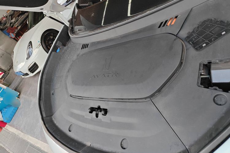 Used  07 2024 Max Extended-Range Edition
