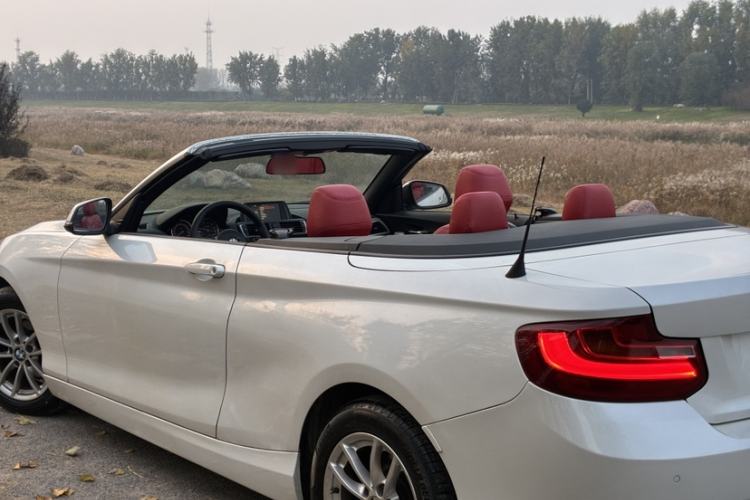 Used BMW 2 Series 2015 218i Convertible Coupe
