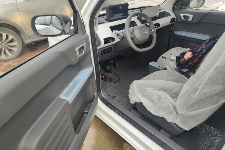 Used  Panda 2024 Panda Mini 200km Endurance Bear
