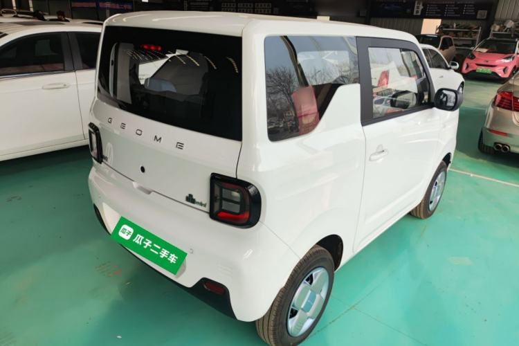 Used  Panda 2024 Panda Mini 200km Endurance Bear