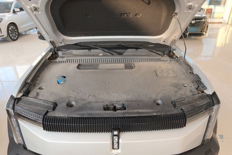 Used  03 2024 501km Two-Wheel Drive Long-Range Version