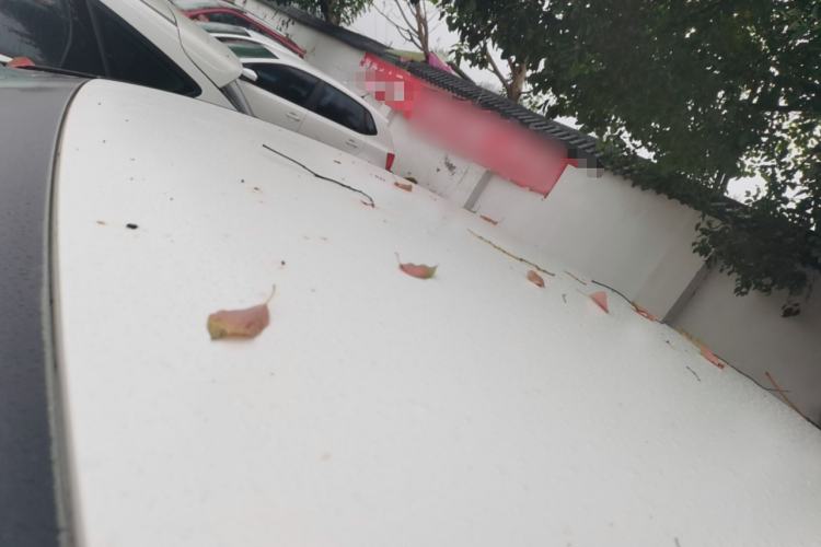 Used Ford Focus 2017 Hatchback 1.6L Manual Comfort Plus SmartDrive Edition
