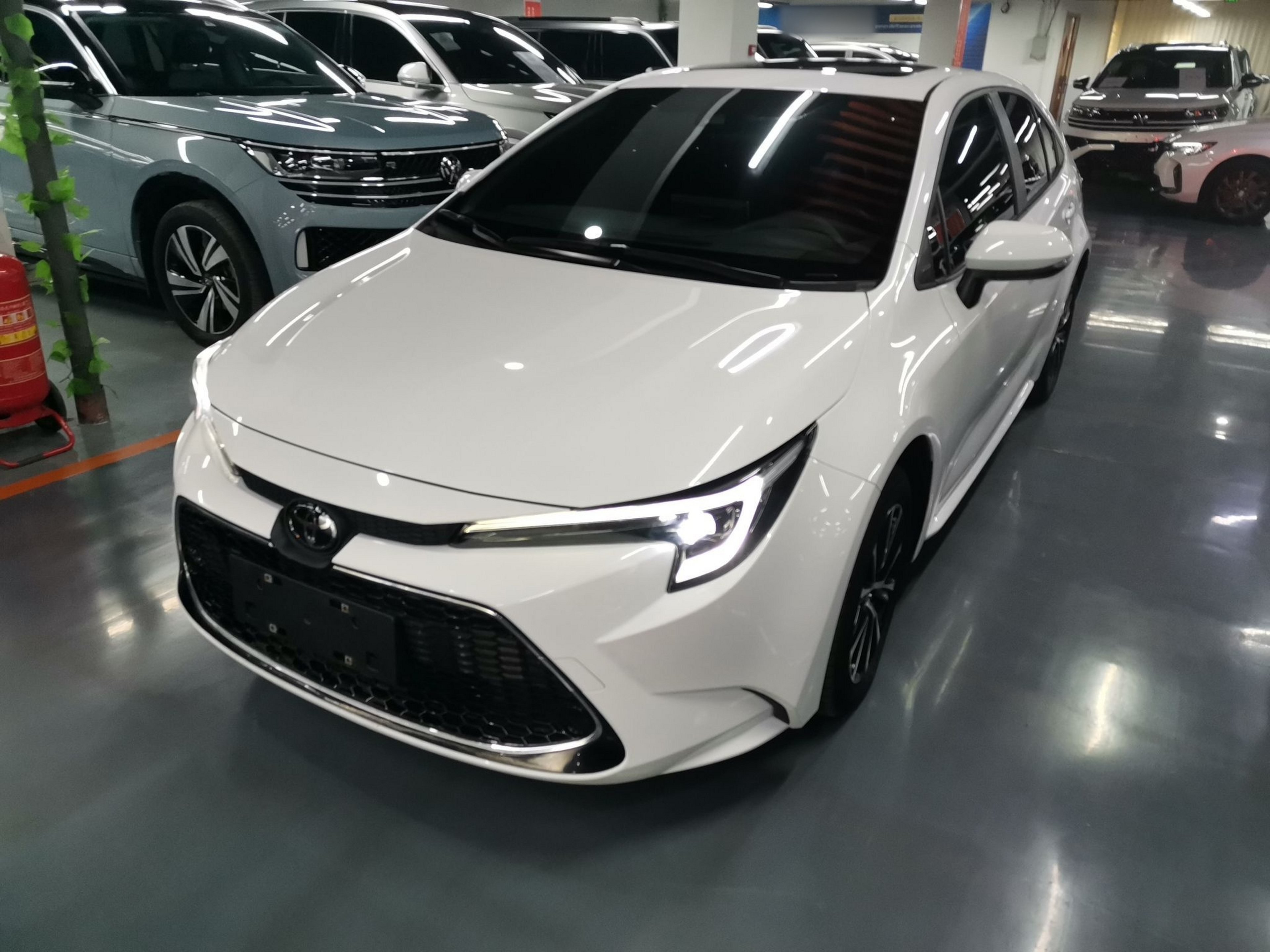 تحت مقدمة السيارة