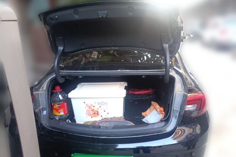 Used Buick Regal 2019 20T Elite Version China VI Standard