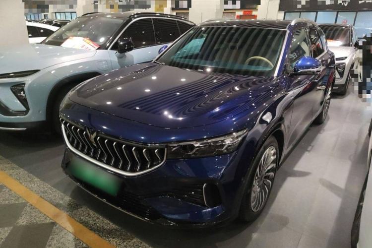 Used VOYAH FREE 2021 Four-Wheel Drive Standard Range-Extended Exclusive Luxury Package
