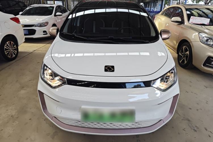 Used SOL E10X 2022 Flower Fairy Style Baby's Breath
