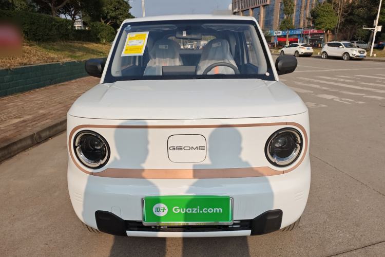 Used  Panda 2024 Panda Mini 200km Endurance Bear
