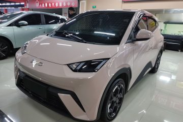 Used BYD Seagull 2025 305 km Free Version