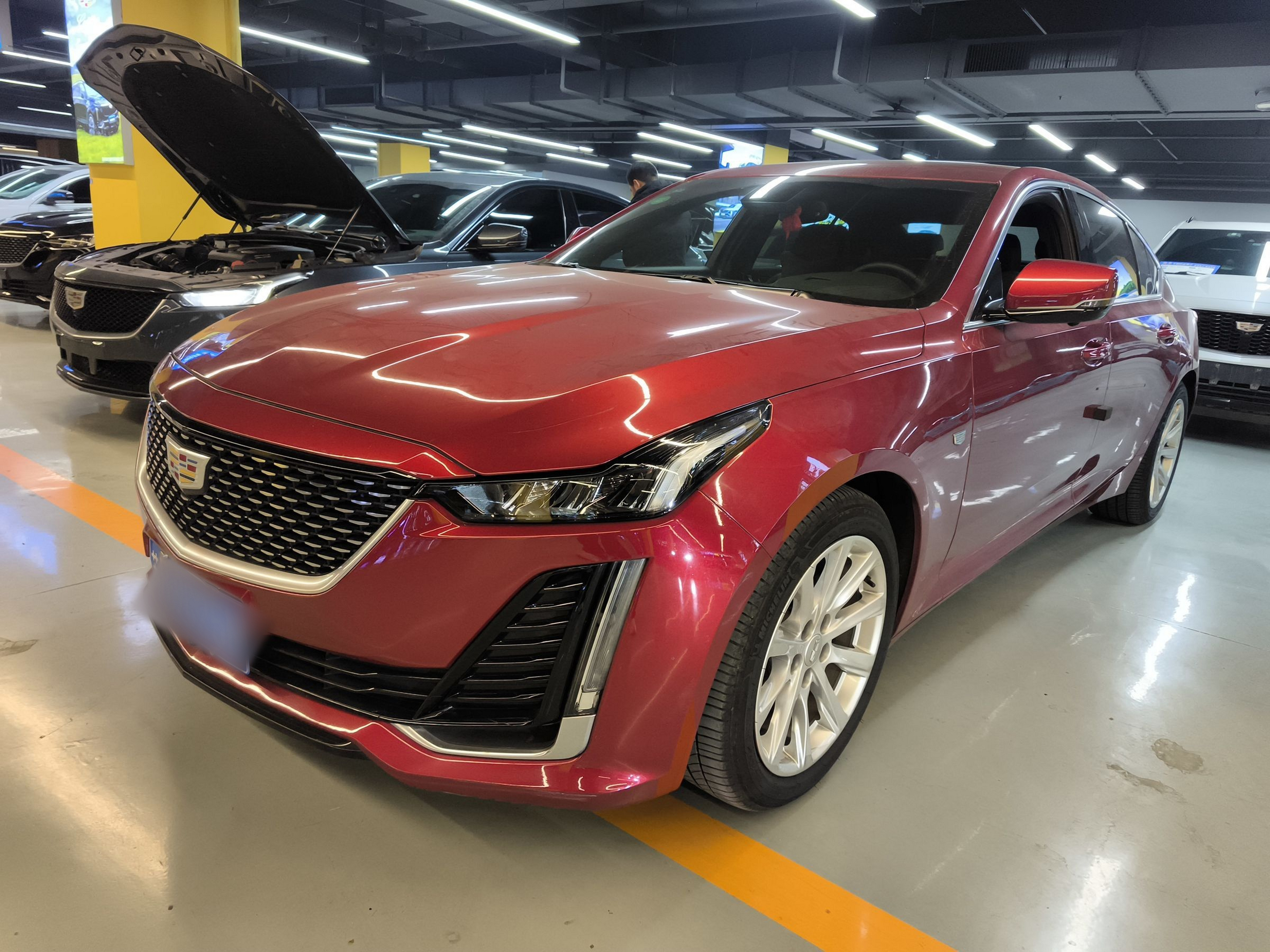 تحت مقدمة السيارة